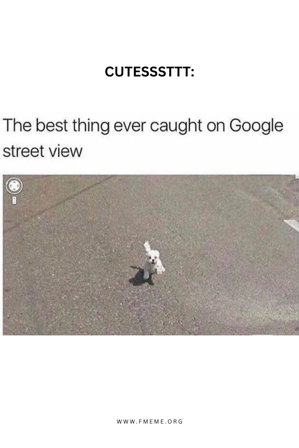 Best thing on google street view